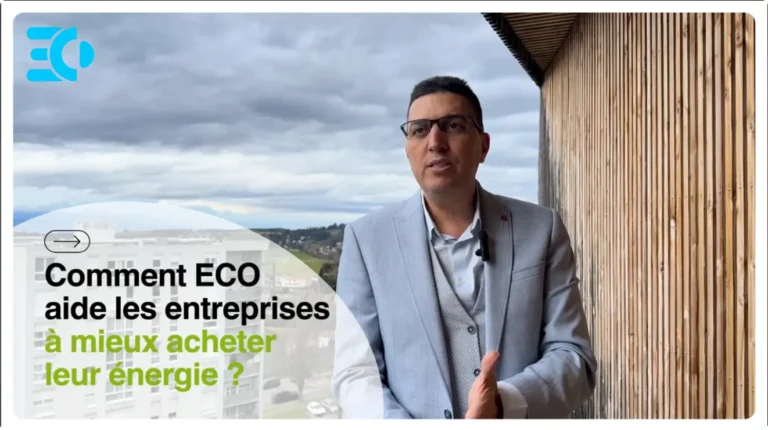 M. Mani explique les stratégies d'achat d'énergie depuis le balcon de son bureau.